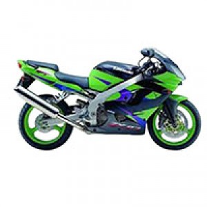 Online 2002-2003 Kawasaki ZX9R Fairings Canada
