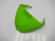 2005-2006 Kawasaki ZX6R Motorcycle Fairings - Green Glossy Black Elf Canada
