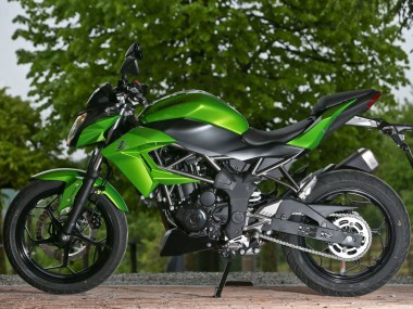 Online 2015-2016 Kawasaki Z250/Z300 Motorcycle Fairings - Green Matte Black Canada
