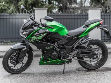 Online 2015-2016 Kawasaki Z250/Z300 Motorcycle Fairing Kits - Green Matte Black Canada