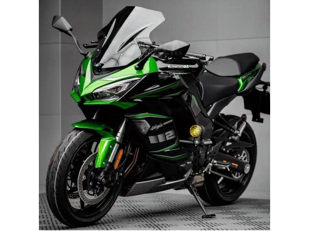 2020-2025 Kawasaki Z1000SX Motorcycle Fairing - Black Green Ninja Canada