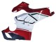 2020-2021 Ducati Panigale V4 V4S Motorcycle Fairings - White Red Green Matte Black Canada