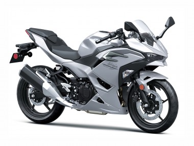 Online 2024-2025 Kawasaki Ninja 500 EX500R Motorcycle Fairings - Metallic Silver Ninja Canada