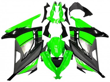 Online 2013-2024 Kawasaki EX300 Motorcycle Fairings - Green Silver Black Canada