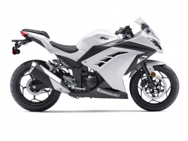 Online 2013-2024 Kawasaki EX300 Motorcycle Fairings - White Black Canada