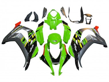 Online 2016-2020 Kawasaki ZX10R Motorcycle Fairings - Green Red Grey Canada