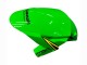 2016-2020 Kawasaki ZX10R Motorcycle Fairings - Green Yellow Red Black Elf Monster Canada