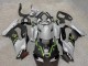 2021-2025 Kawasaki ZX10R Motorcycle Fairings - Grey Matte Black Green White Elf Snow Monster Canada