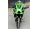 2021-2025 Kawasaki ZX10R Motorcycle Fairings - Green Glossy Black Canada
