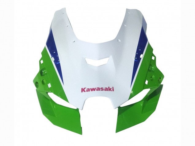 2021-2025 Kawasaki ZX10R Motorcycle Fairings - White Green Blue Black Canada