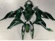 2019-2022 Kawasaki ZX6R Motorcycle Fairings - Dark Green Canada