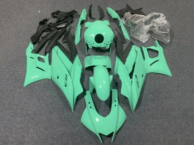 Online 2022-2024 Yamaha YZF R3/R25 Motorcycle Fairings - Light Green Canada