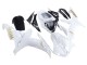 2002-2003 Yamaha YZF 1000 R1 Motorcycle Fairings - White Gold Decals Canada