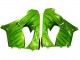 2000-2001 Kawasaki ZX9R Motorcycle Fairings - Green Flame Canada