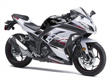 Online 2013-2024 Kawasaki EX300 Motorcycle Fairings - White Black Red Accents Canada