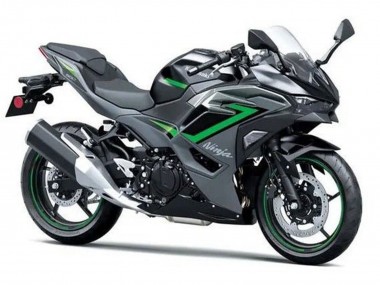 Online 2024-2025 Kawasaki Ninja 500 EX500R Motorcycle Fairings - Black Grey Green Canada