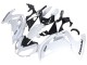 2012-2016 Kawasaki EX650 Motorcycle Fairings - White Black Canada
