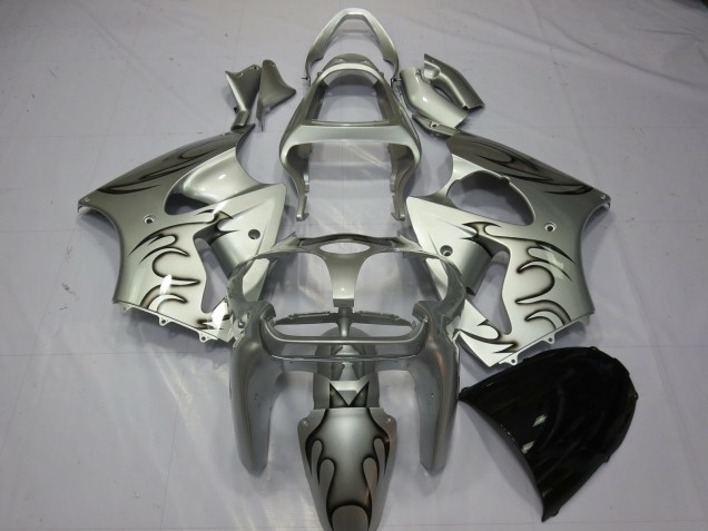 Silver Flame 2000-2002 Kawasaki ZX6R Motorcycle Fairing Silver Flame 2000-2002 Kawasaki ZX6R Motorcycle Fairing